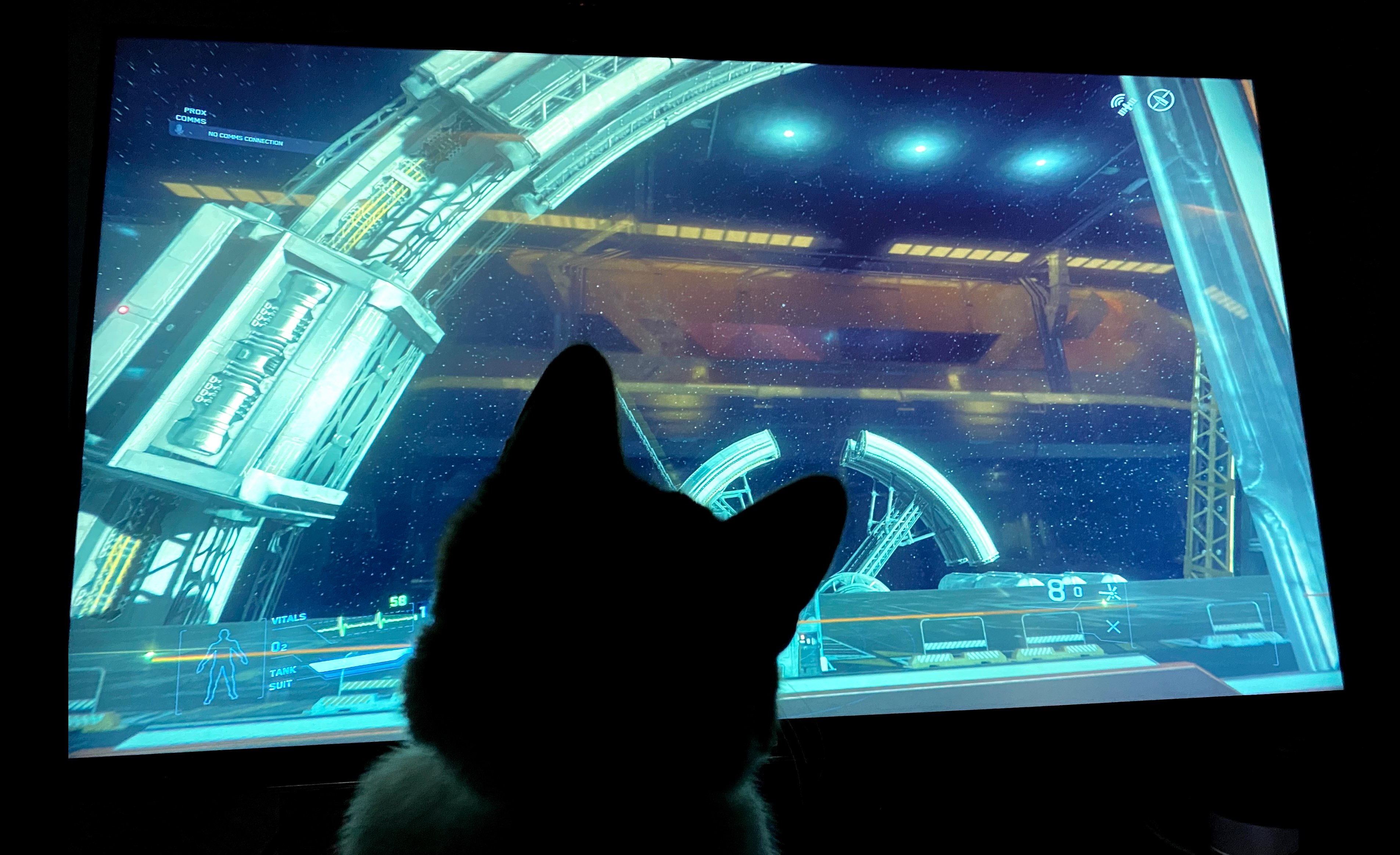 star citizen with Pippin